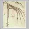 Studie einer Gelenkschwinge, 1496.html